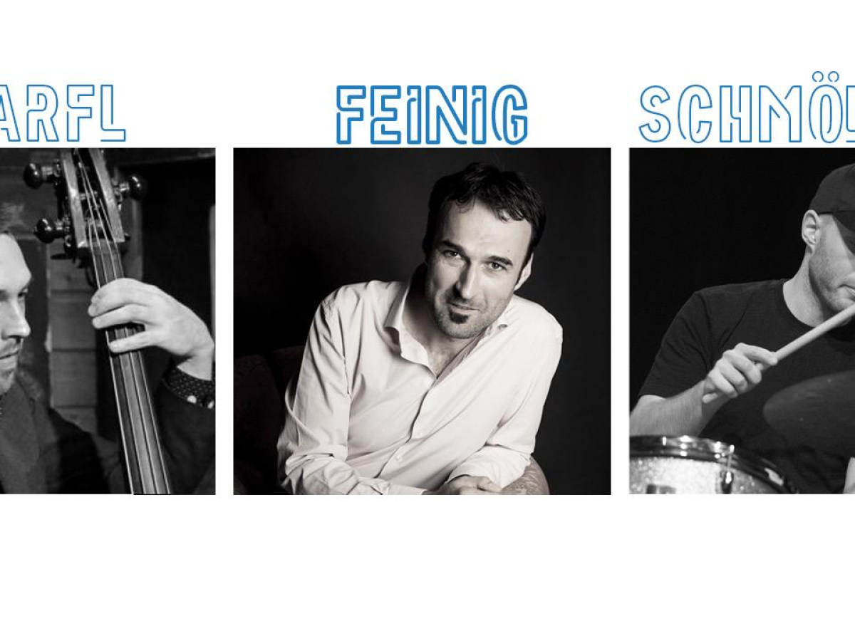 Tonč Feinig - Philipp Zarfl - Reinhold Schm&ouml;lzer