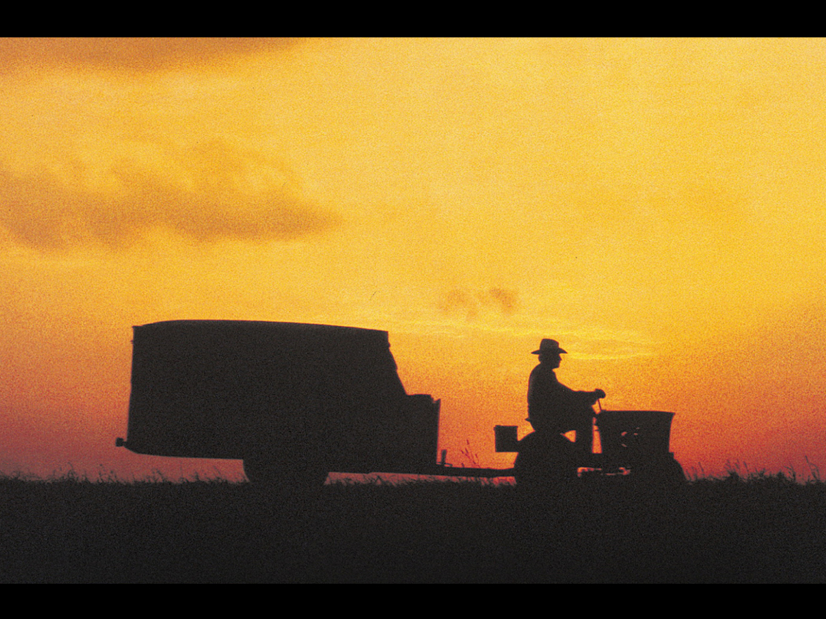 cinema by STEP - Eine wahre Geschichte &ndash; The Straight Story