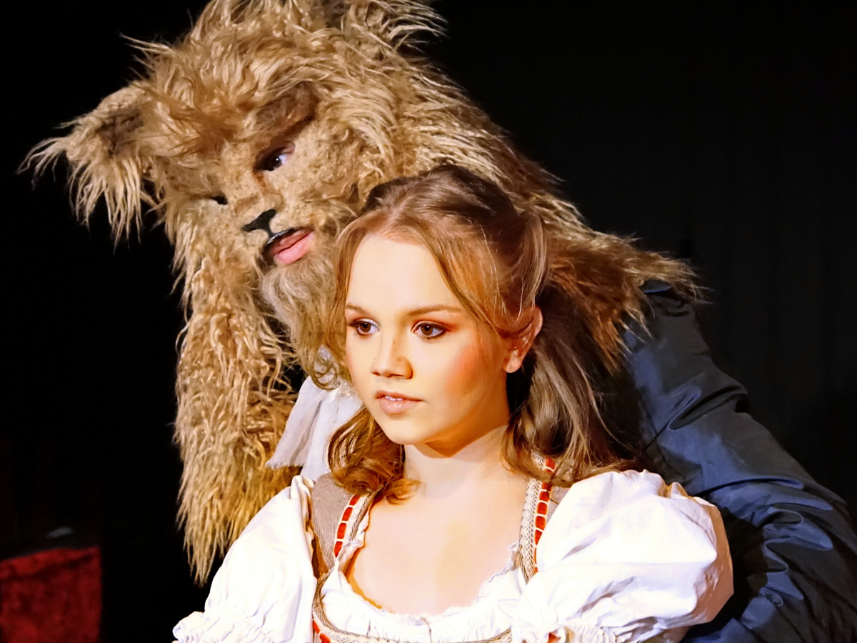 DIE SCH&Ouml;NE UND DAS BIEST